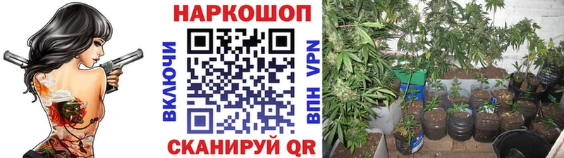 Купить закладку СОЛЬ  Меф мяу мяу  Гашиш  КОКАИН  Приволжск