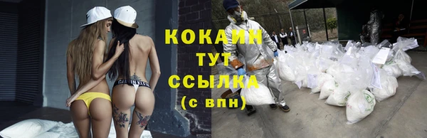 ПСИЛОЦИБИНОВЫЕ ГРИБЫ Зерноград