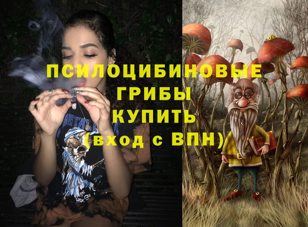 ПСИЛОЦИБИНОВЫЕ ГРИБЫ Зерноград